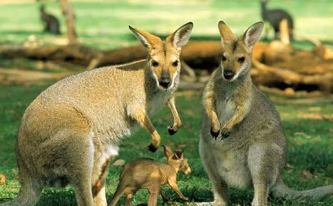 �аࡶ�n�����͈�(b��o)�������̰�