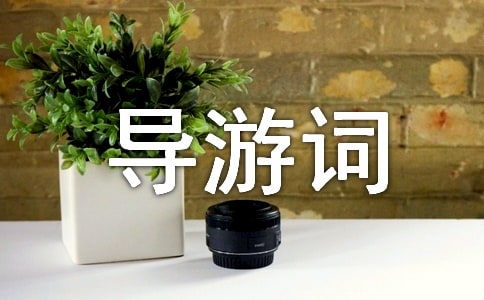 ���׌�(d��o)���~