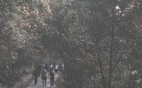 五一登山活動方案例文