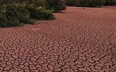 �������������꼉(j��)����