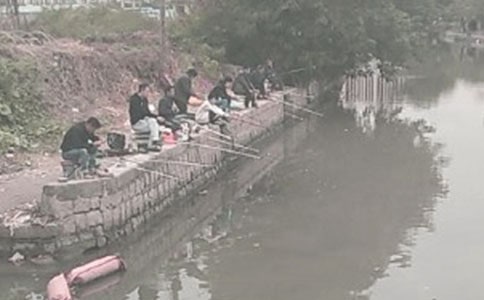 ����Ʒ����~�����İ�ƪ