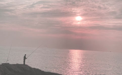 ���x���꼉��~������ƪ