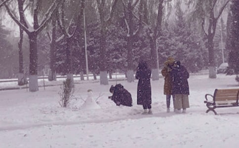 ���x�茑����ꖹ�ľ���