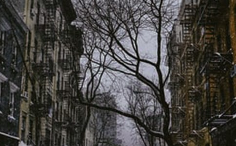 ������о��Ӿ��x