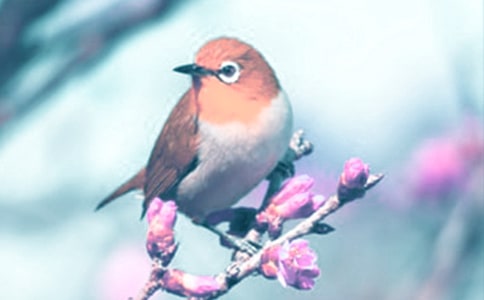 �^���(d��ng)ֲ����ӛ�����x65ƪ��