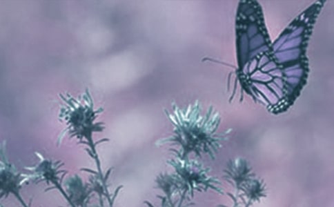 �^���(d��ng)ֲ����ӛ�����x63ƪ��