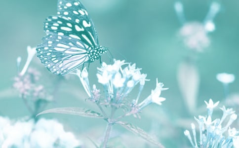 ����(d��ng)ֲ���^����ӛ��ͨ��10ƪ��