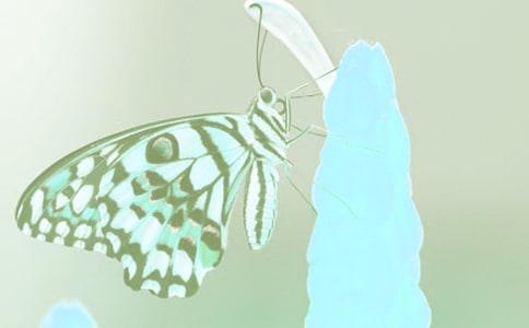 �^���(d��ng)ֲ����ӛ�����x28ƪ��