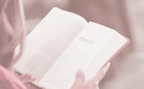 �P(gu��n)�������x���յ�������(bi��o)�Z