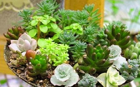 �^�������ӛ