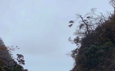 ��üɽ���^(q��)��(d��o)���~��ͨ��5ƪ��