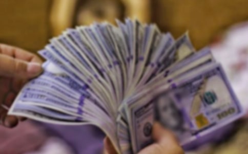 發(fā)財樹觀察日記匯編十篇