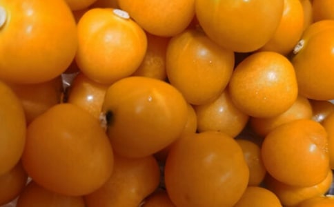 番茄炒蛋的作文600字(精選58篇)