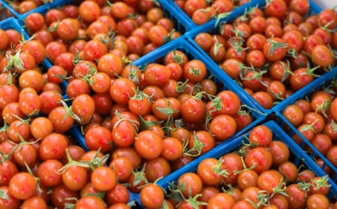 ������̫ꖡ��̌W(xu��)�O(sh��)Ӌ