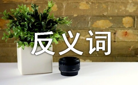 ��ů�ķ��x�~��ʲô��