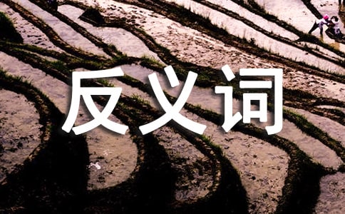 �(zh��n)���ķ��x�~��ʲô��