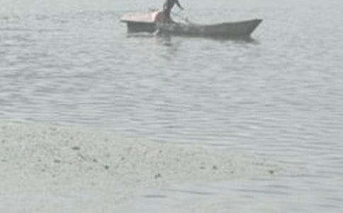 �ƺ��������ĺϼ�5ƪ