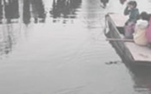 �ƺ���������(7ƪ)