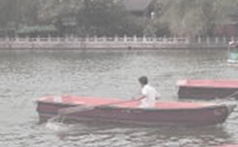 �P(gu��n)�ڿƺ���������4ƪ