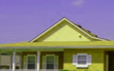 《小狗的小房子》優(yōu)秀讀后感(通用7篇)