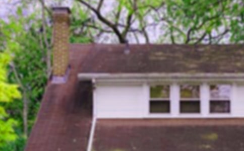 �����N���ӵķ��ӡ��а�̰�����