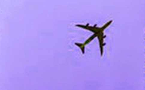 第一次坐飛機(jī)作文500字優(yōu)秀范文