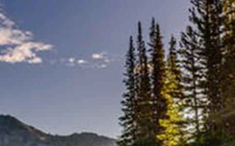 ����Щ�茑�Sɽ�L(f��ng)����Ԋ��