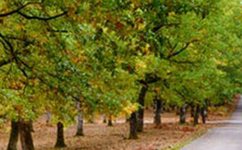 ������;�L(f��ng)���ľ��ӣ�ͨ��190�䣩