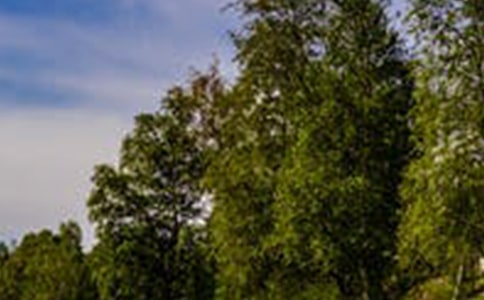 �]��������L(f��ng)���䌍��һζ���턩ɢ��