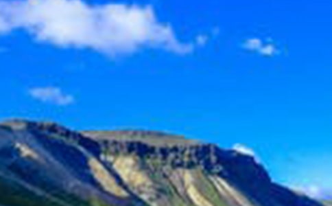 �������L�����S�P