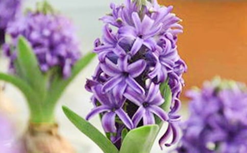 �^���L(f��ng)������ӛ