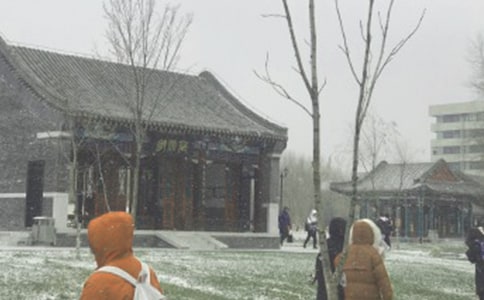 �����L(f��ng)ѩ��ɢ��