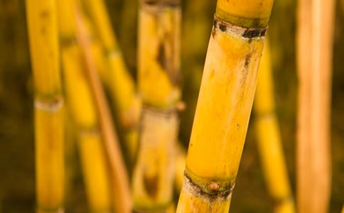 ���������600�ֺϼ���ƪ