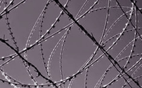 ��F����(x��)���R��10ƪ