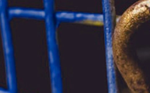 ����׃����F�b����