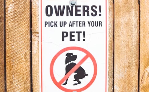 公告的特點及注意事項