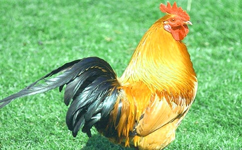 ��ͯԢ�Թ��£��]����c�����u