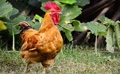 �ö��Ĺ��u���꼉(j��)���ģ����x36ƪ��