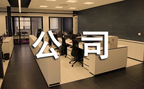 公司章程(集合)