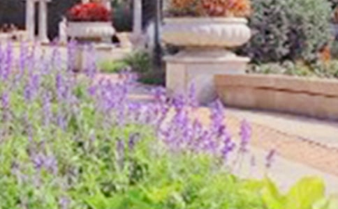 ���r��ɽ���@�����~