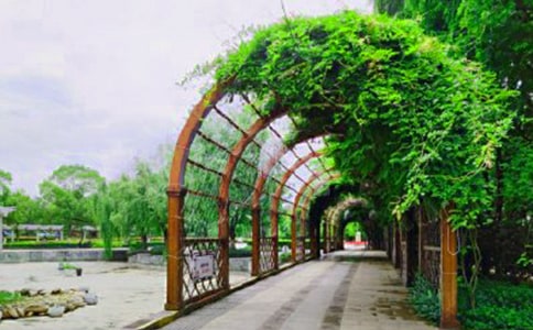 �(zh��n)����ع��@��(d��o)���~