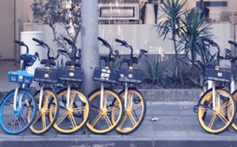 �����܇�yͣ�y�ų��h����ͨ��8ƪ��