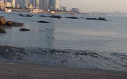 鼓浪嶼游記作文500字