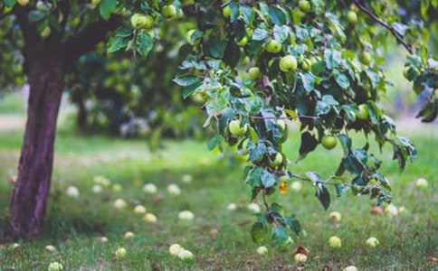 ���@�C(j��)���˵Ľ̰��O(sh��)Ӌ(j��)