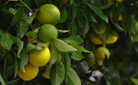 ���@�C(j��)���˃�(y��u)��̰�