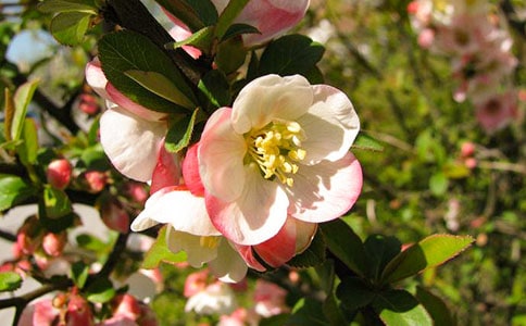 ��T�¡��׺���ԭ�ļ��p��