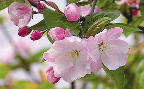 ����700�����꼉����