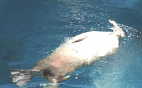 ���󹫈@������500��