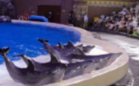 ������ͺ��ࡷ�̰�