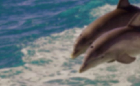 С�W���꼉���ĺ�����I400��